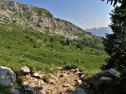 66 Il sent. 222 in saliscendi per rientrare a Capanna 2000